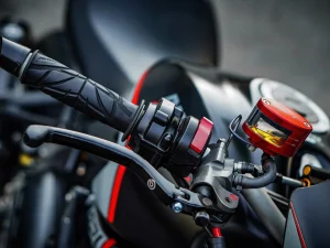 Xe ducati monster 821 stealth hung phat motor 20